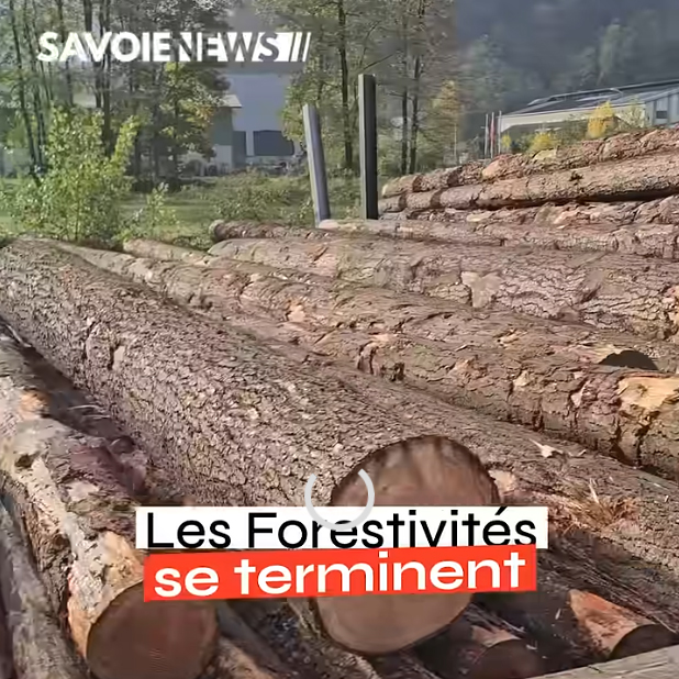 251029-forestivités